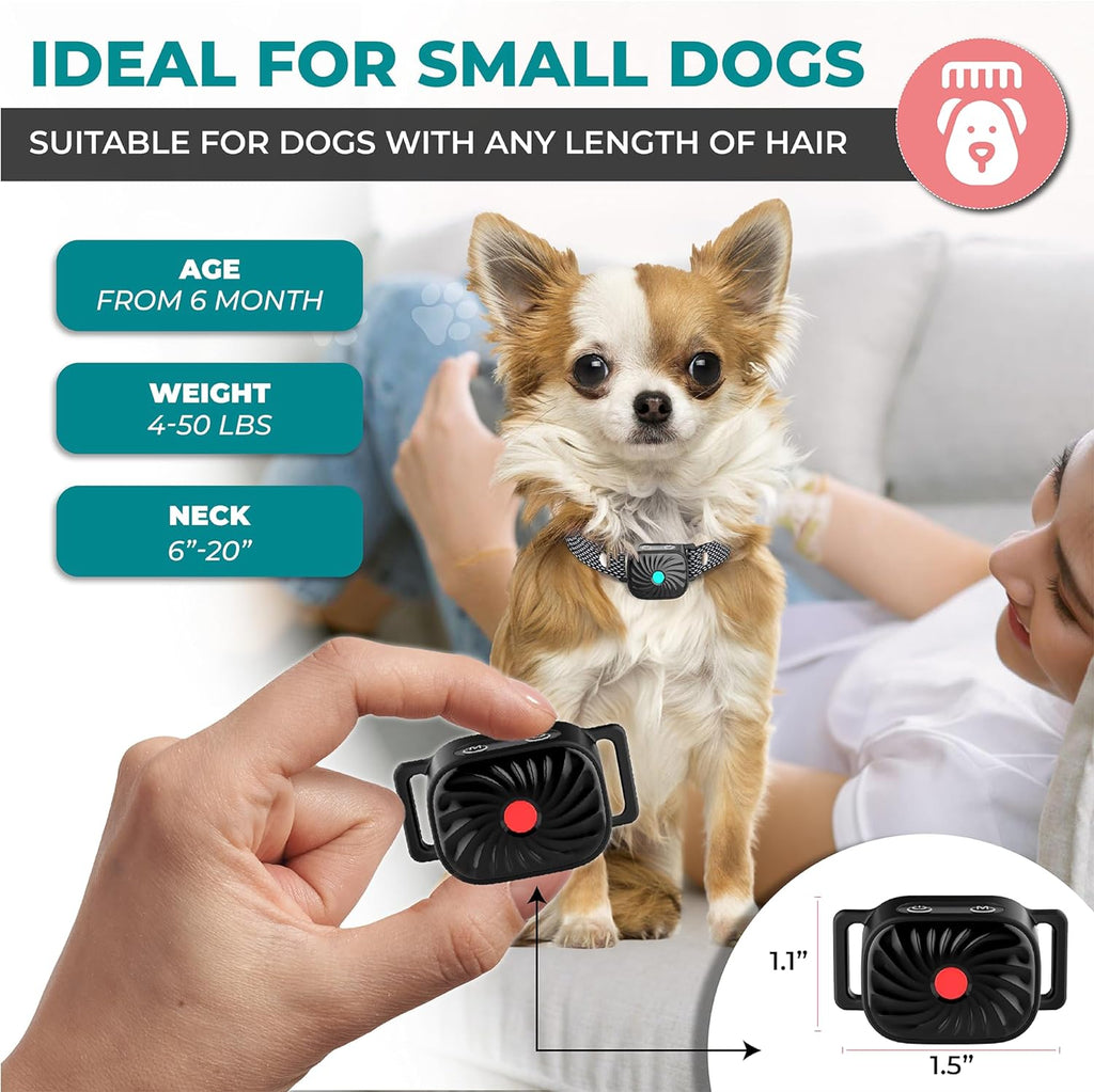 Collier anti-aboiement pour petits chiens