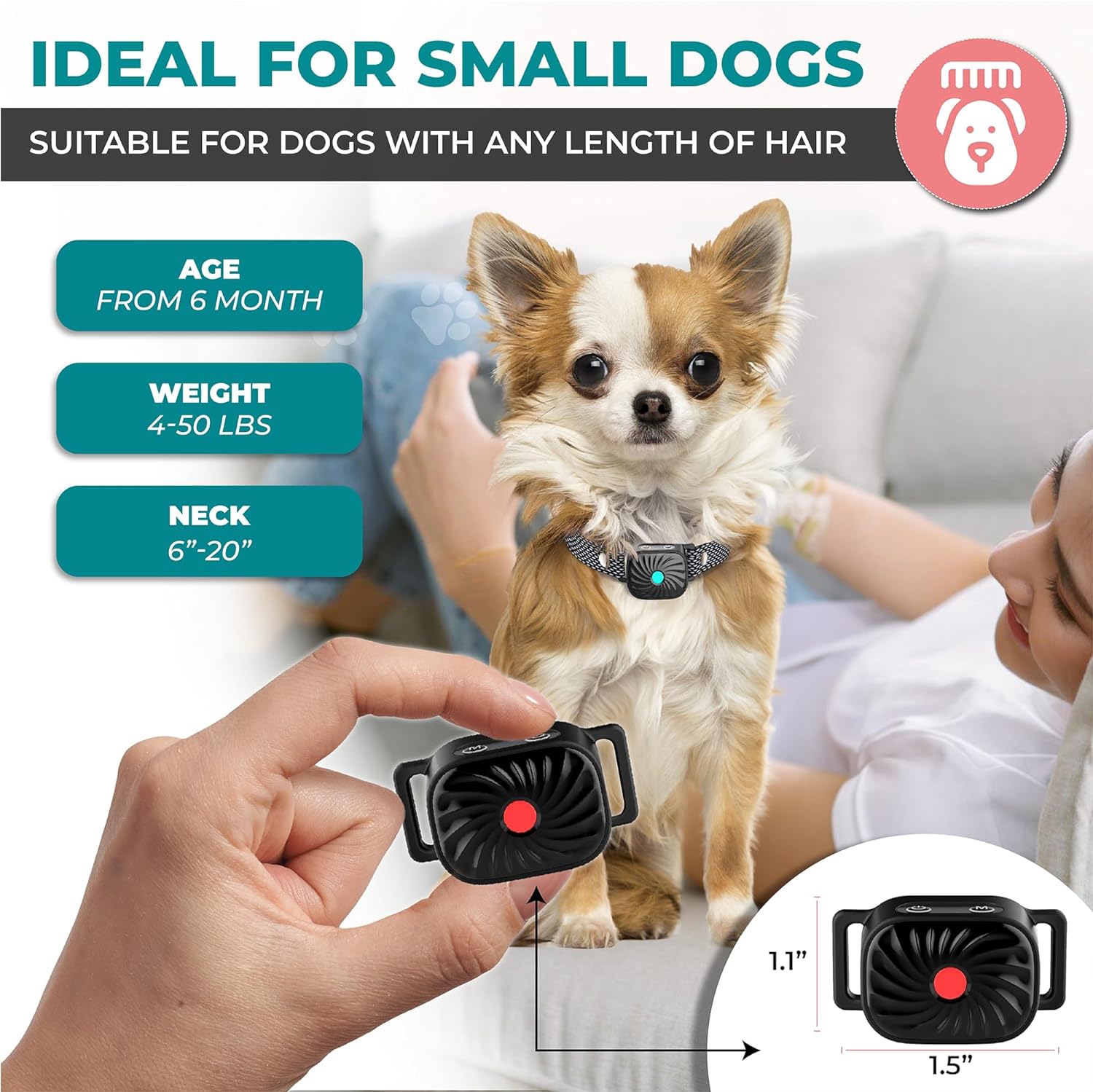 Collier anti-aboiement pour petits chiens