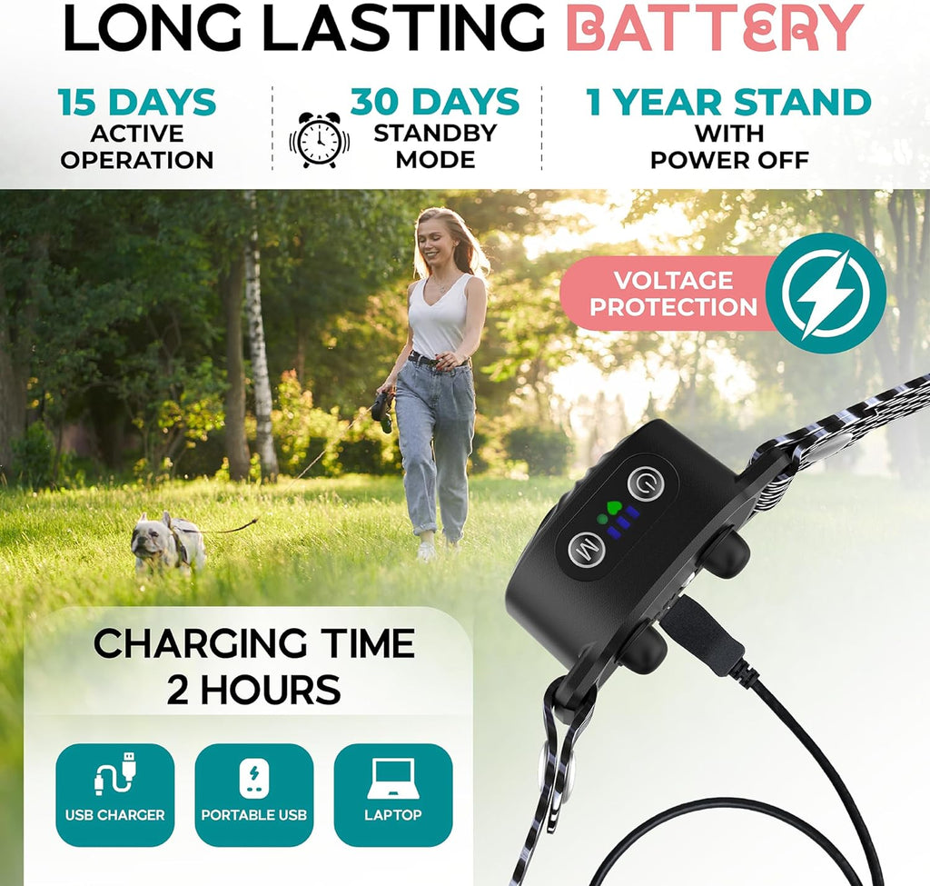 Collier anti-aboiement pour petits chiens