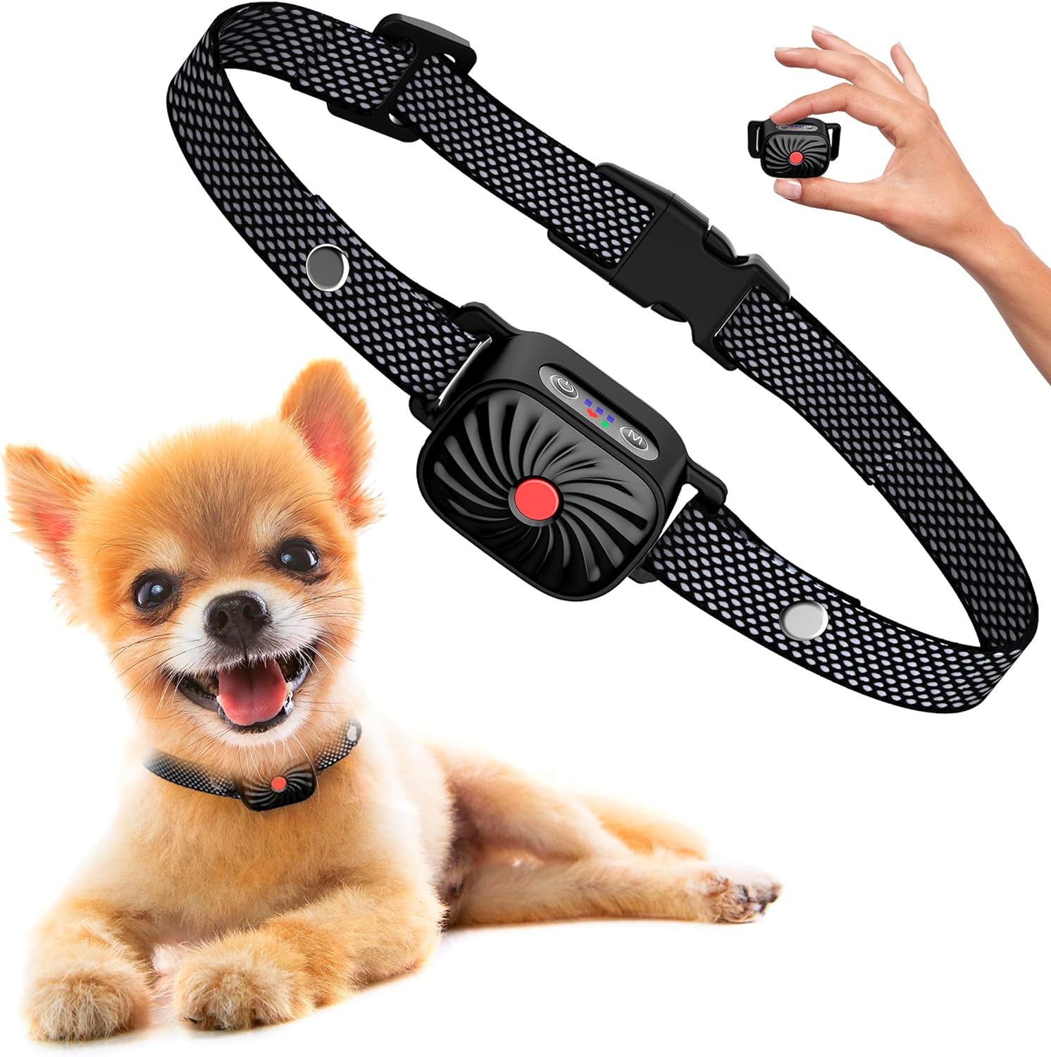 Collier anti-aboiement pour petits chiens