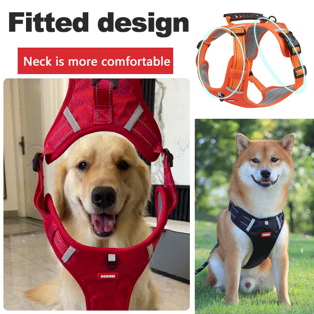 PawHarness™ – Gilet de chien réfléchissant sans traction