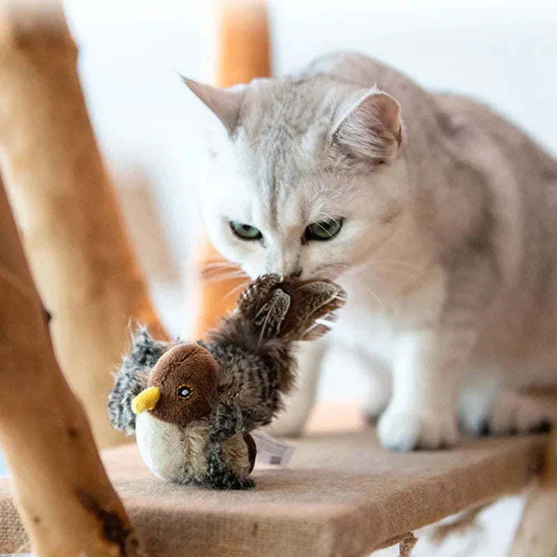 Catfri® Jouet Oiseau : Jouet Interactif Pour Chats