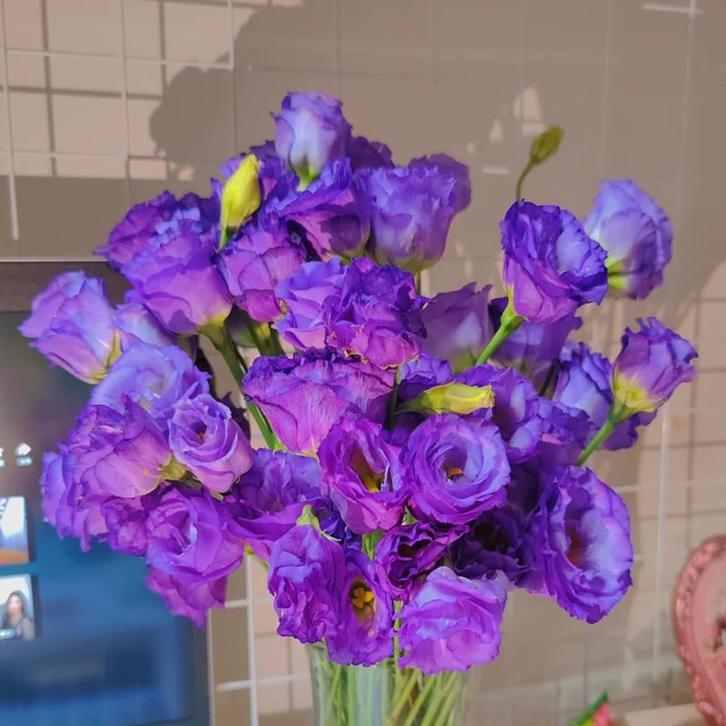 Rose Eustoma Sans Épines💐Graines de Lisanthus