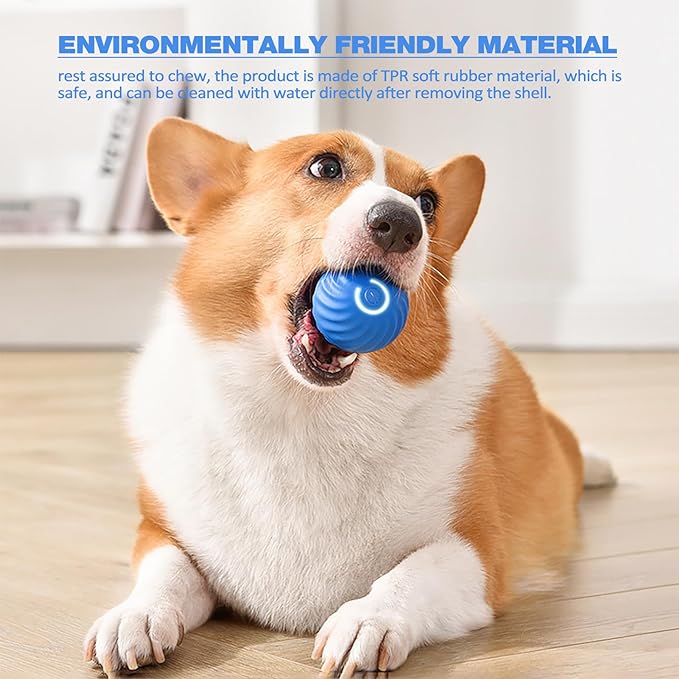 BarkBounce - Balle Interactive pour Chien