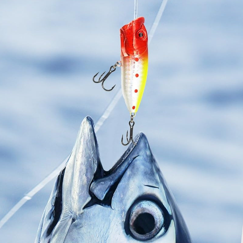 Calendrier de l'Avent de Pêche - Accessoires pour Vrais Pêcheurs