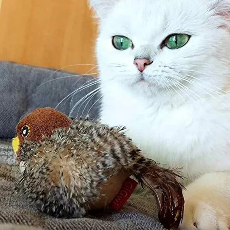 Catfri® Jouet Oiseau : Jouet Interactif Pour Chats