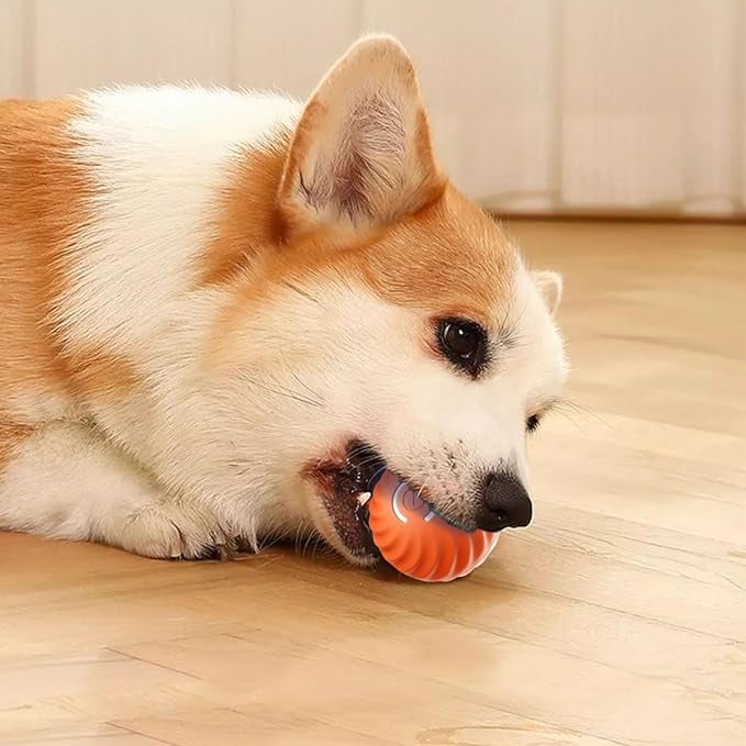BarkBounce - Balle Interactive pour Chien