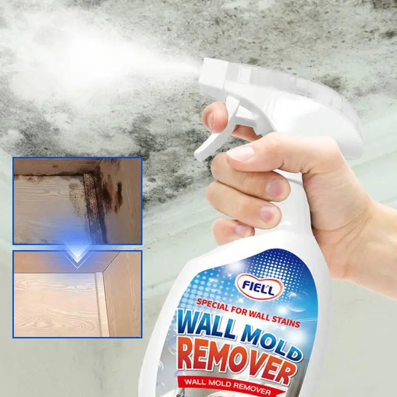 Spray Anti-Moisissure - Éliminez Efficacement les Moisissures Tenaces et Protégez Votre Maison