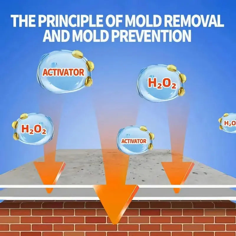 Spray Anti-Moisissure - Éliminez Efficacement les Moisissures Tenaces et Protégez Votre Maison