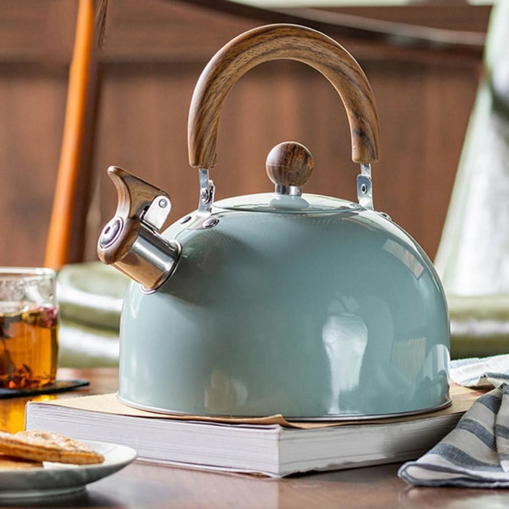AURABOIL – Bouilloire siffleur classique de 3L au design élégant