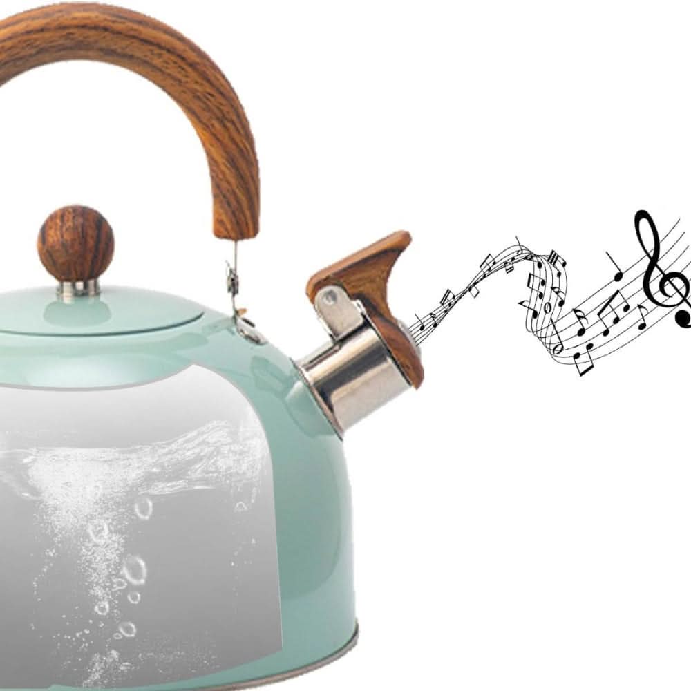 AURABOIL – Bouilloire siffleur classique de 3L au design élégant