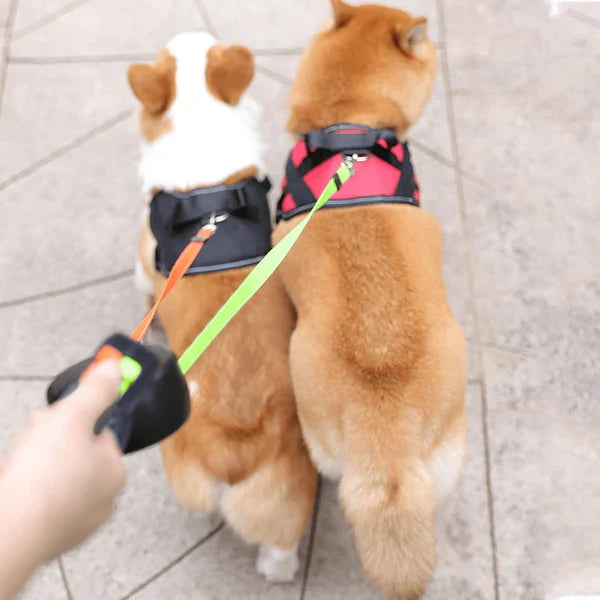 Laisse pour chien - Laisse anti-emmêlement double - Pawtrexo