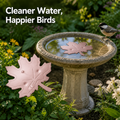 AquaLeaf™ — Gardez votre bain d'oiseaux étincelant et irrésistiblement propre sans lever le petit doigt