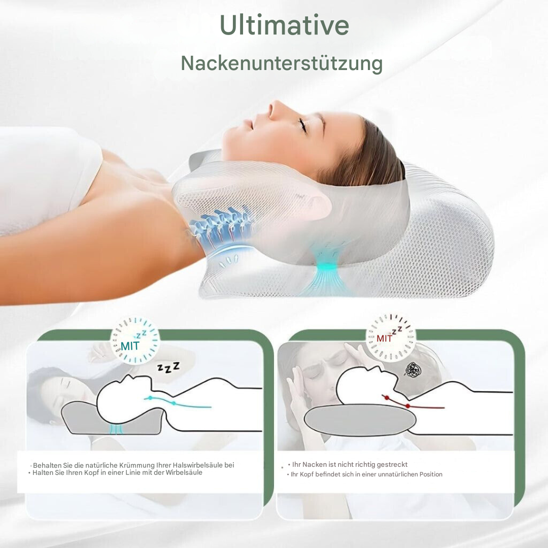 Coussin Orthopédique - DreamAlign