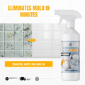 MoldDefy™ — Éliminez rapidement la moisissure et gardez votre maison fraîche, sûre et accueillante