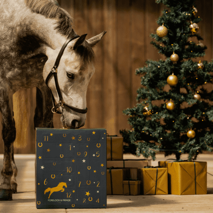 EquiTrend | Calendrier de l'Avent 2025 pour les Amoureux des Chevaux