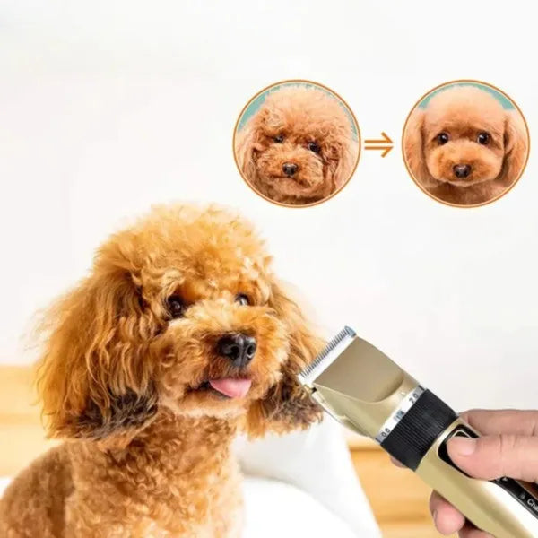 Tondeuse à Animaux Silencieuse - Kit de Tonte de Chien à Faible Bruit
