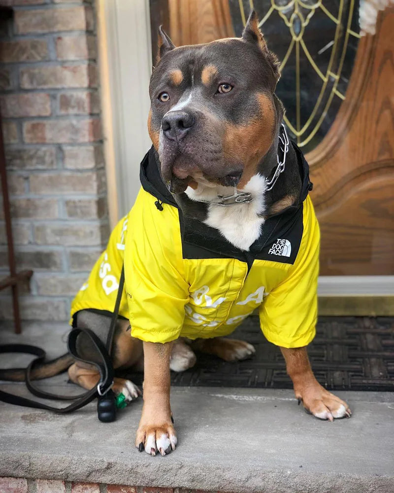 PawDry Veste Imperméable pour Chiens | Veste légère coupe-vent pour Bouledogues Français, Chihuahuas et autres