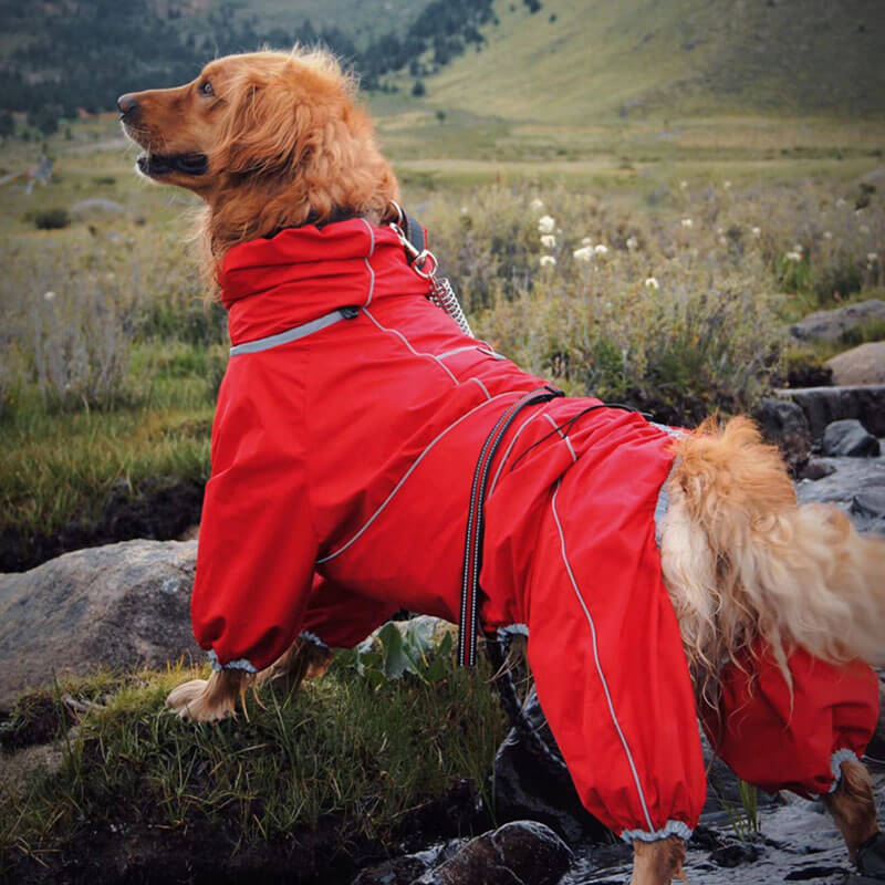 Imperméable pour Chiens – Veste Extérieure Ajustable pour Chiens