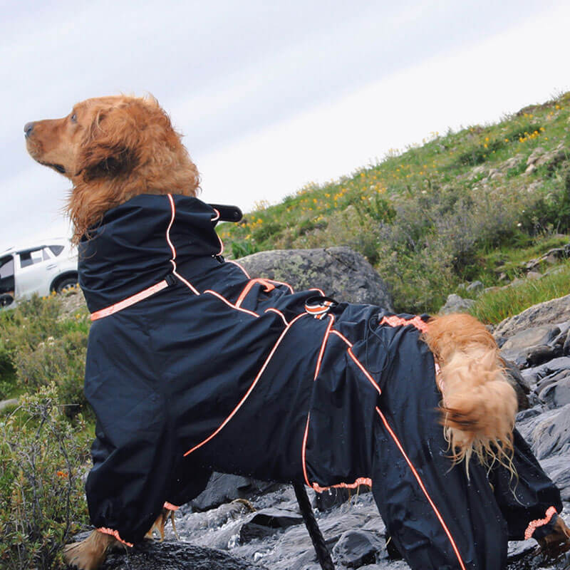 Imperméable pour Chiens – Veste Extérieure Ajustable pour Chiens