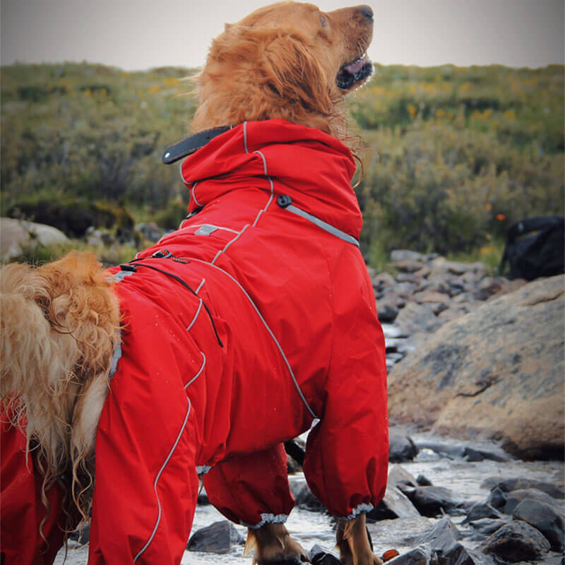 Imperméable pour Chiens – Veste Extérieure Ajustable pour Chiens