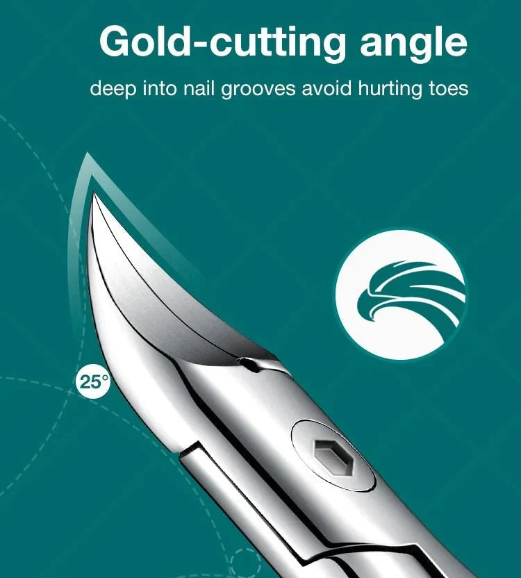 Coupe-ongles pour les orteils à bord incurvé en acier inoxydable avec récupérateur d'ongles