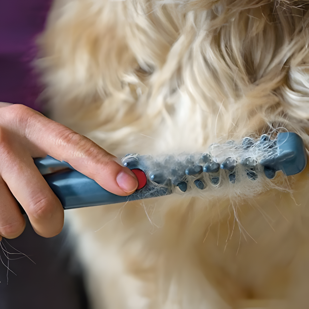 Plus de nœuds ni d'emmêlements pour votre animal de compagnie