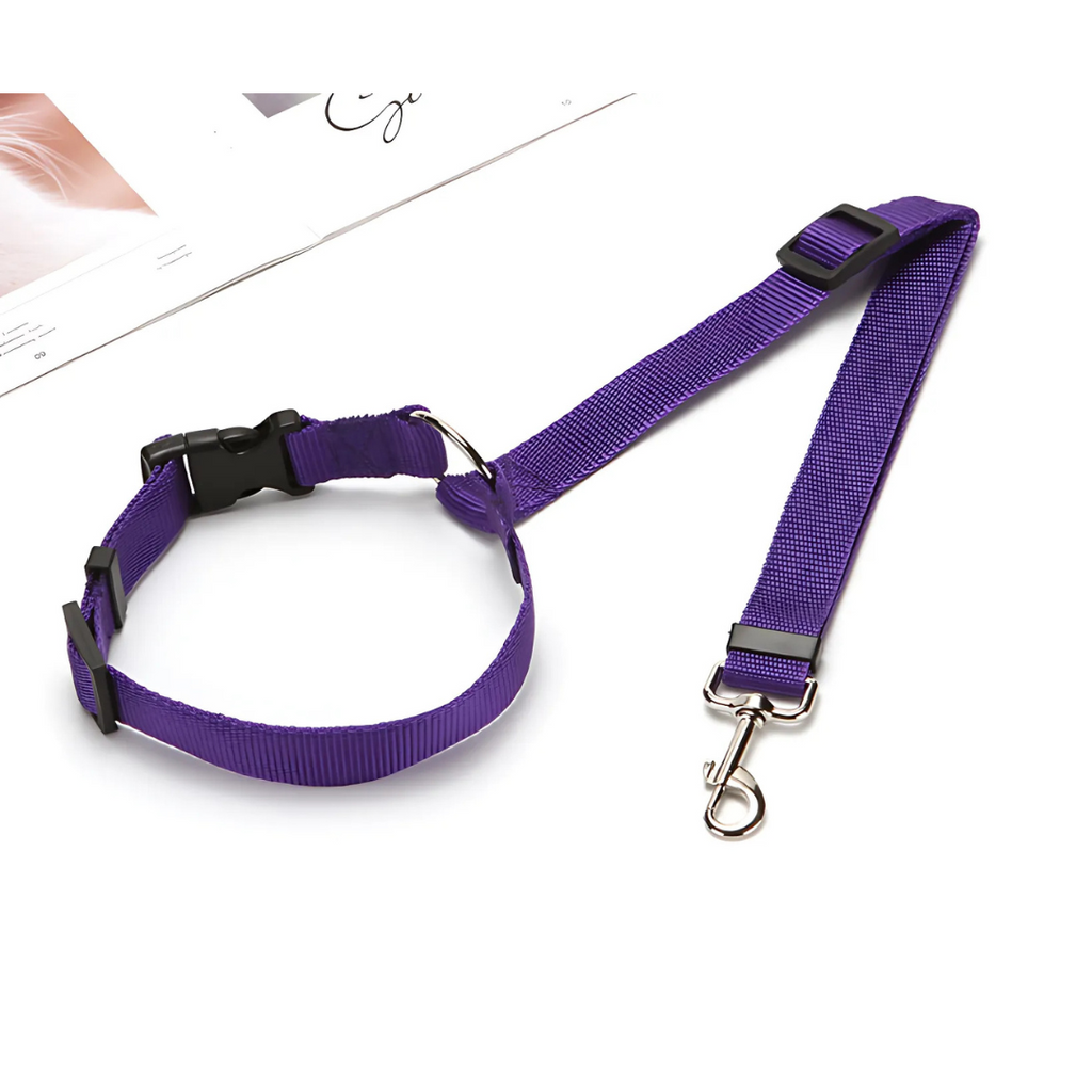 DogCatFri™ CarLeash 1+1 GRATUIT : Laisse de Sécurité Ajustable pour Animaux de Compagnie en Voiture