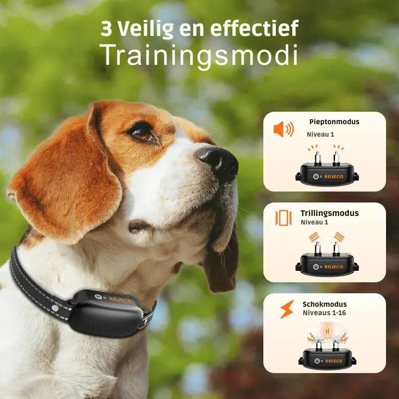 ProTrain – Collier de dressage pour chien rechargeable et étanche