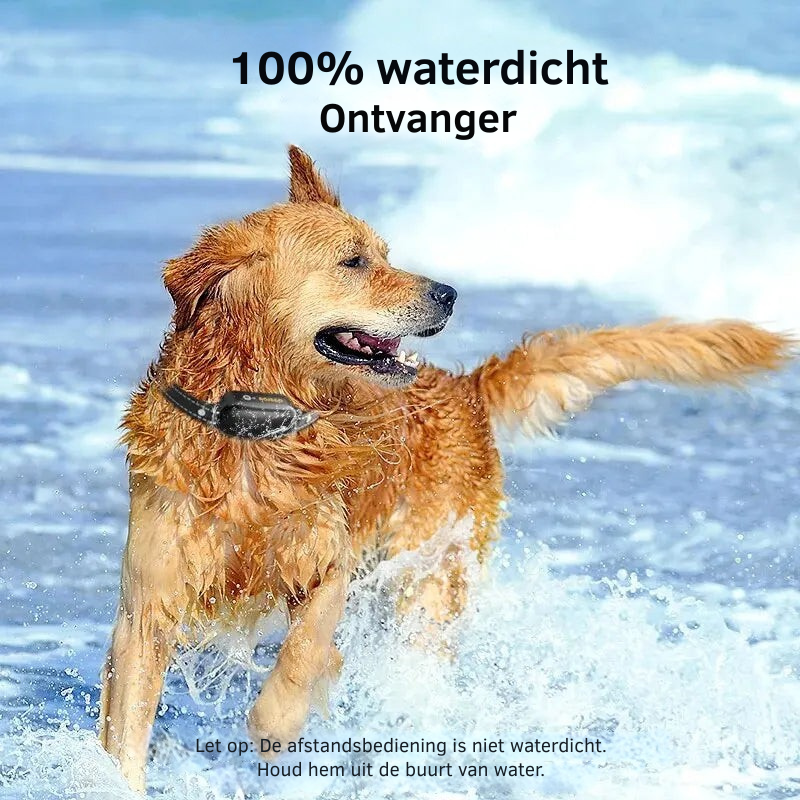 ProTrain – Collier de dressage pour chien rechargeable et étanche