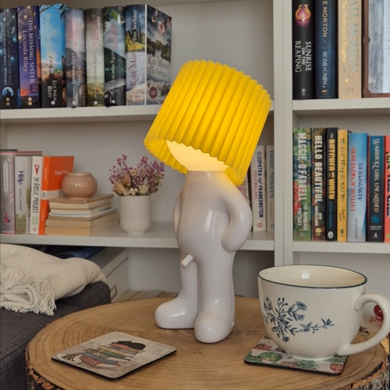 Embellissez votre maison avec le charme ludique de Lampes-Larry !