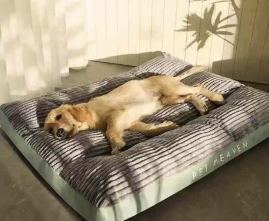 FlauschNest Lit pour Chien Orthopédique – Douillet & Soutenant pour des Nuits Reposantes