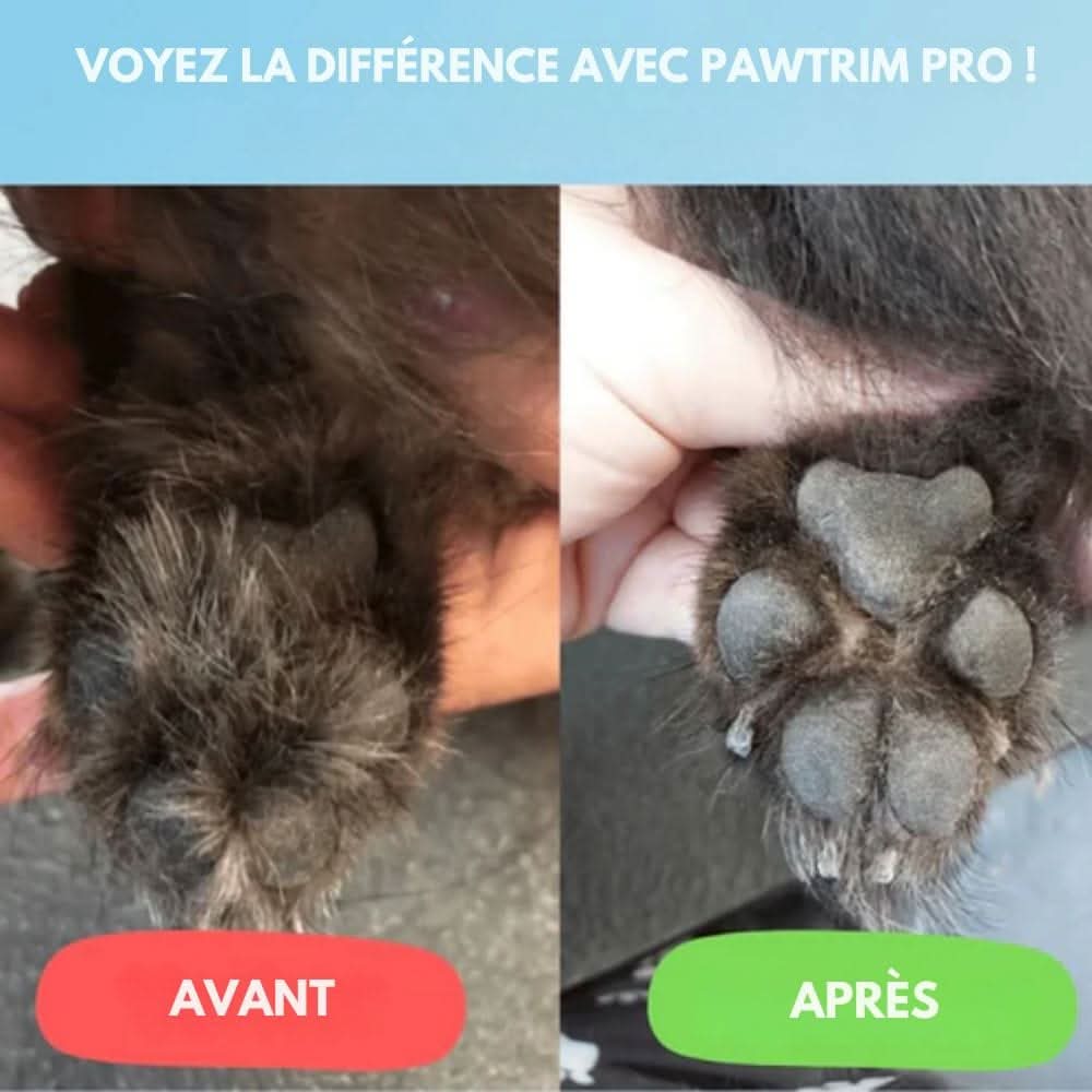 Skanto | SilentPet Trimmer – Tondeuse silencieuse pour zones sensibles chez les chiens et les chats