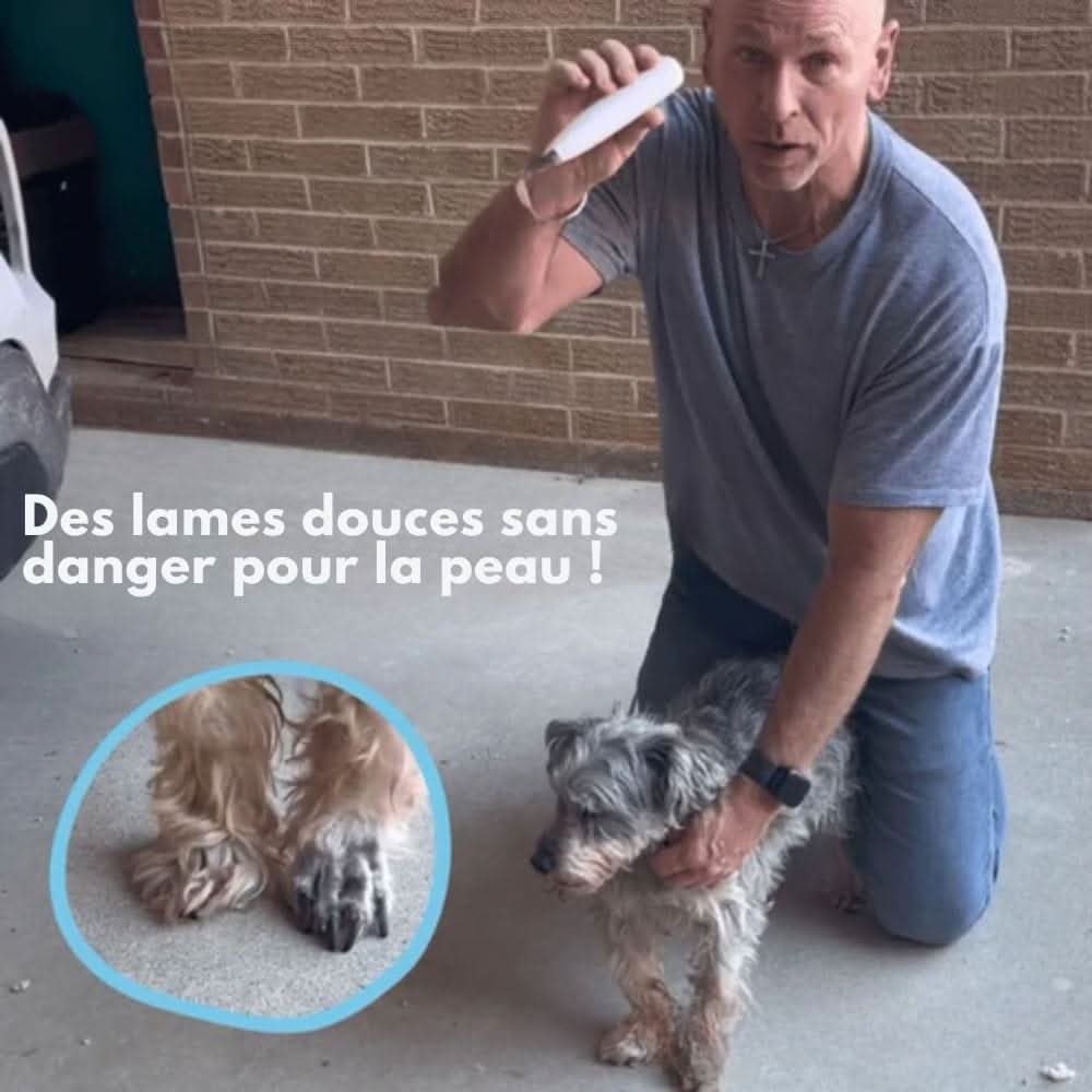 Skanto | SilentPet Trimmer – Tondeuse silencieuse pour zones sensibles chez les chiens et les chats