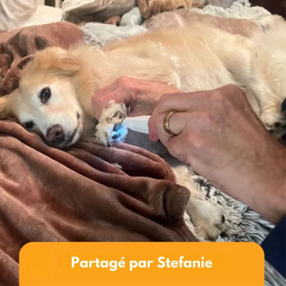 Skanto | SilentPet Trimmer – Tondeuse silencieuse pour zones sensibles chez les chiens et les chats