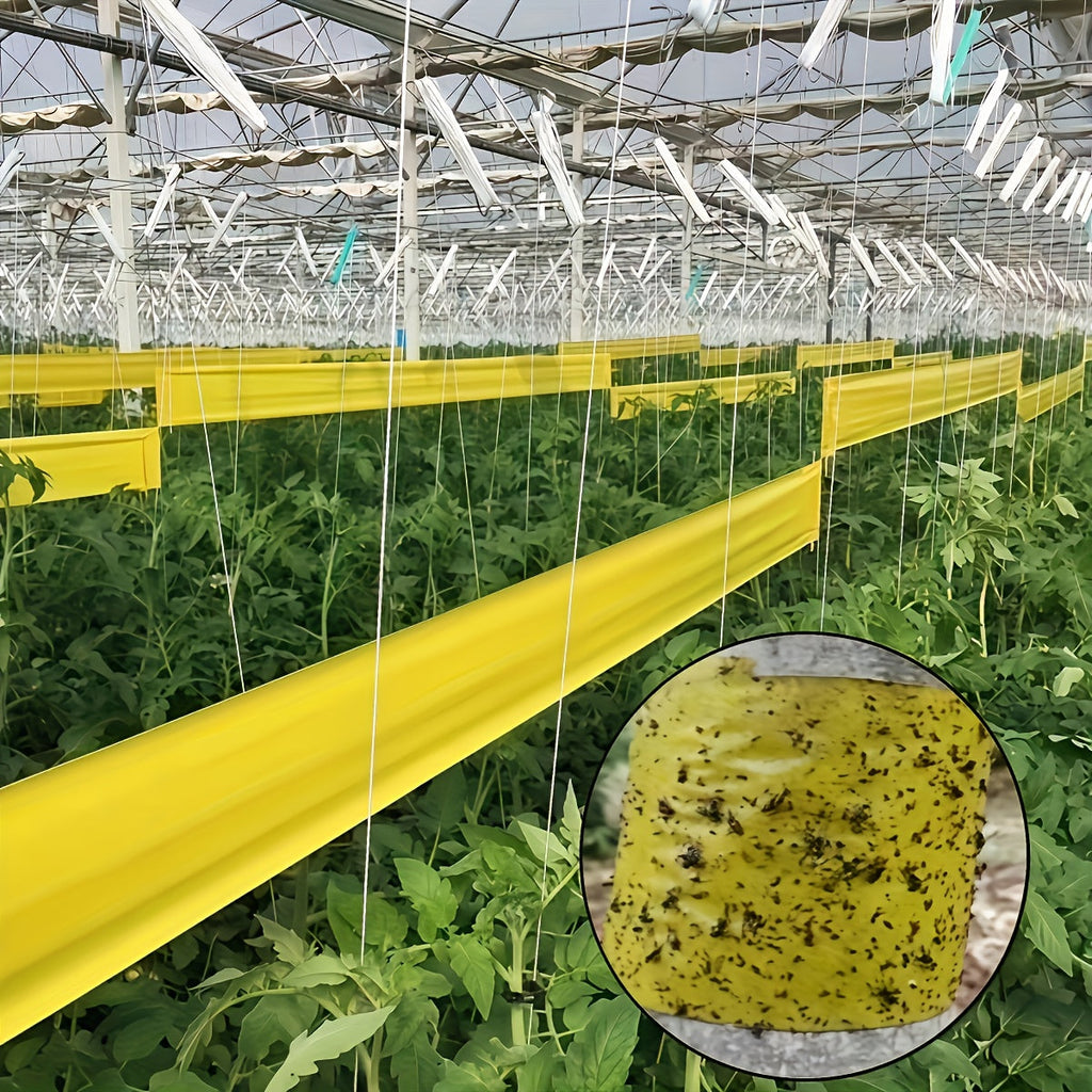 NatureGuard – Ruban de Barrière Insecte Protecteur pour l'Extérieur