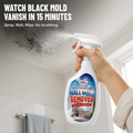 MoldAwayPro™ — Spray pour Éliminer la Moisissure Noire des Murs en 15 Minutes, Sans Frotter