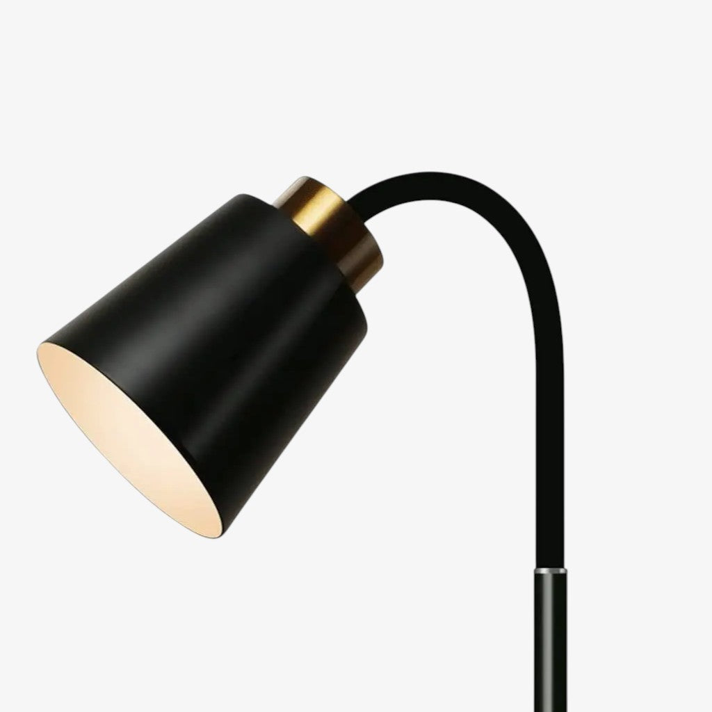 Lampe sur Pied Réglable avec Tête de Lampe Orientable – Lampe de Lecture Fonctionnelle