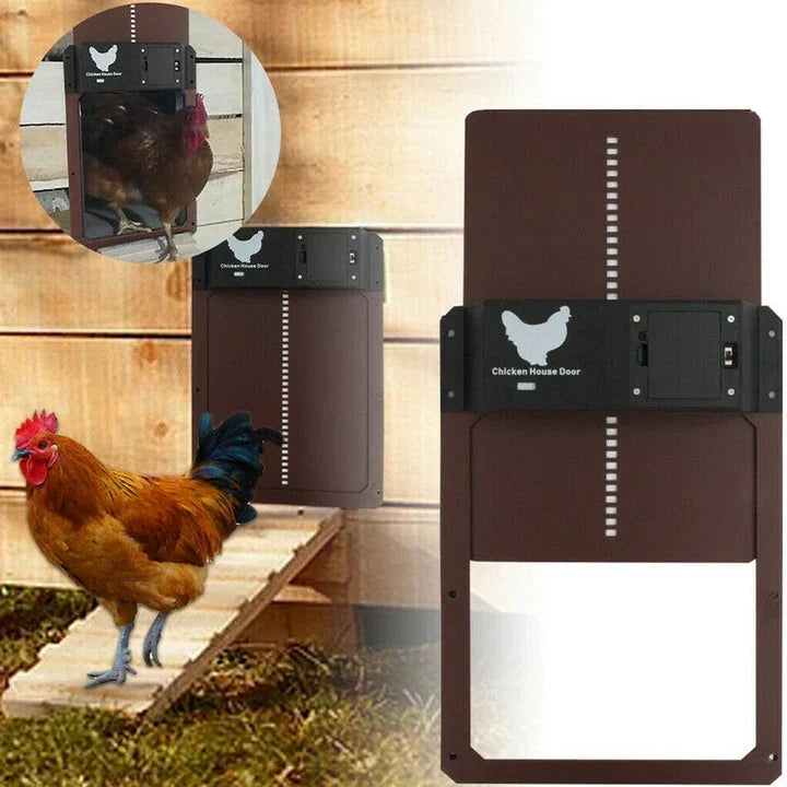 Porte de Poulailler Automatique avec Design Étanche