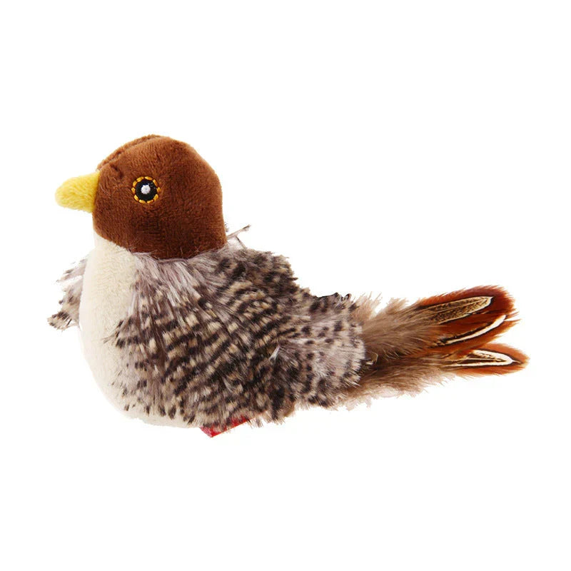 Catfri® Jouet Oiseau : Jouet Interactif Pour Chats