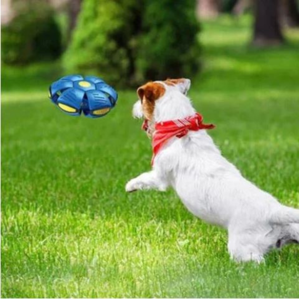 DogFri™ DiscBall 1+1 GRATUIT - Jouet pour Animaux Chien Disque Boule