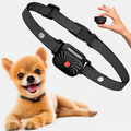 Collier Anti Aboiement pour Petits Chiens avec Modes de Dressage Réglables