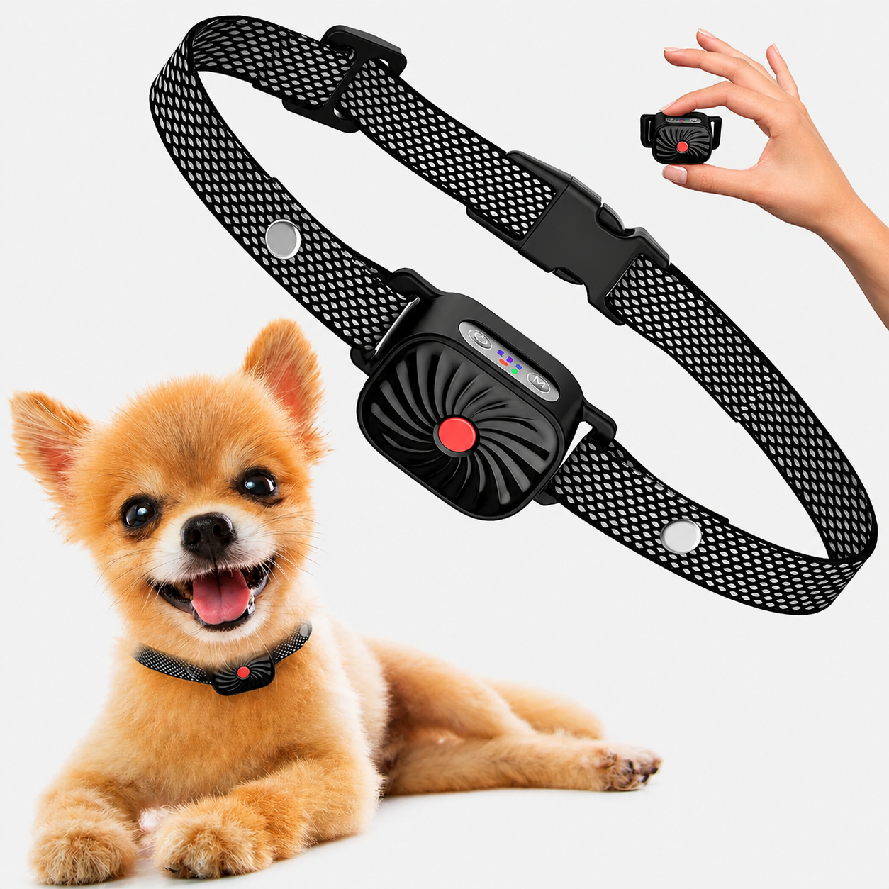 Collier Anti Aboiement pour Petits Chiens avec Modes de Dressage Réglables