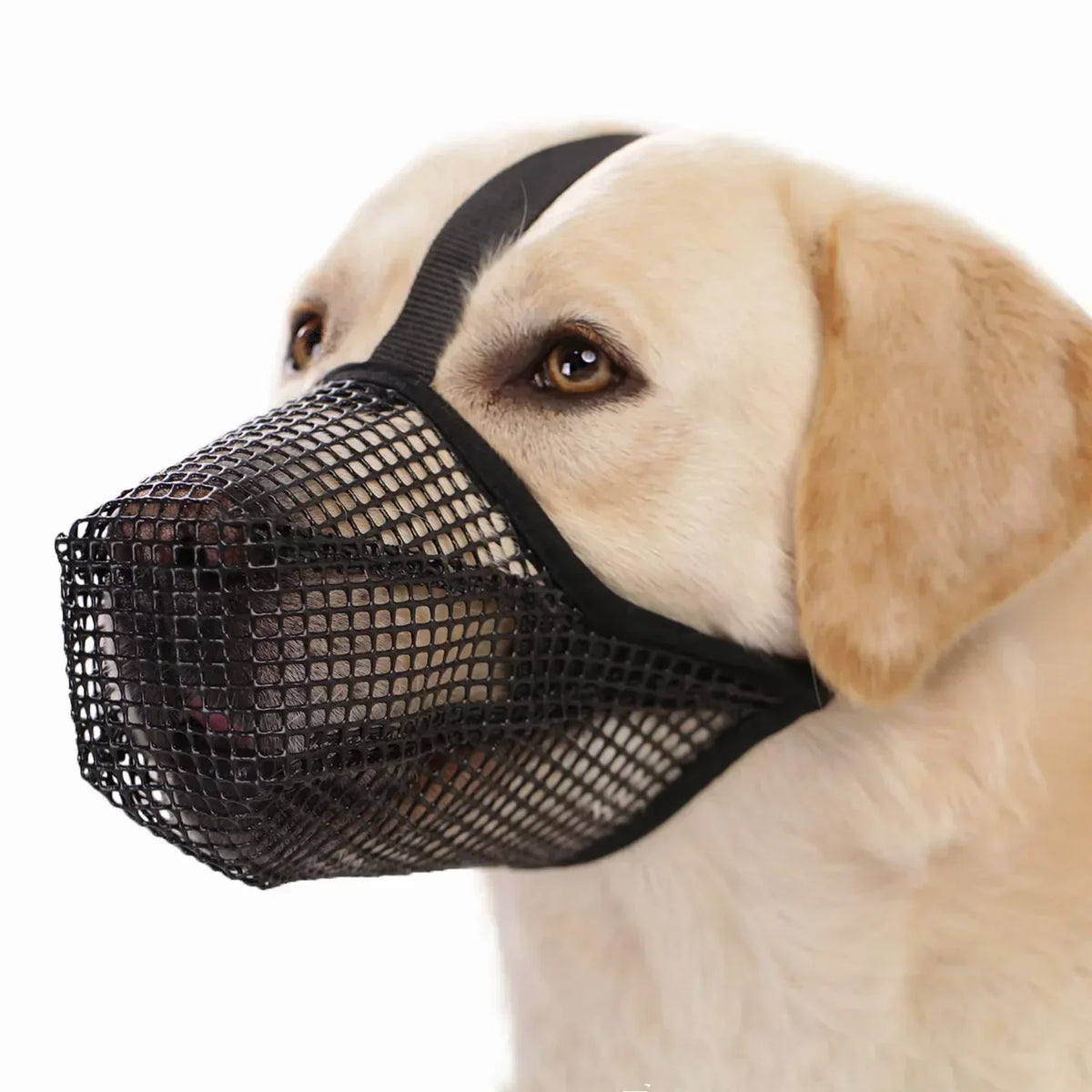Muzzle pour Chien AirMesh Confortable - Protection Douce et Respirante