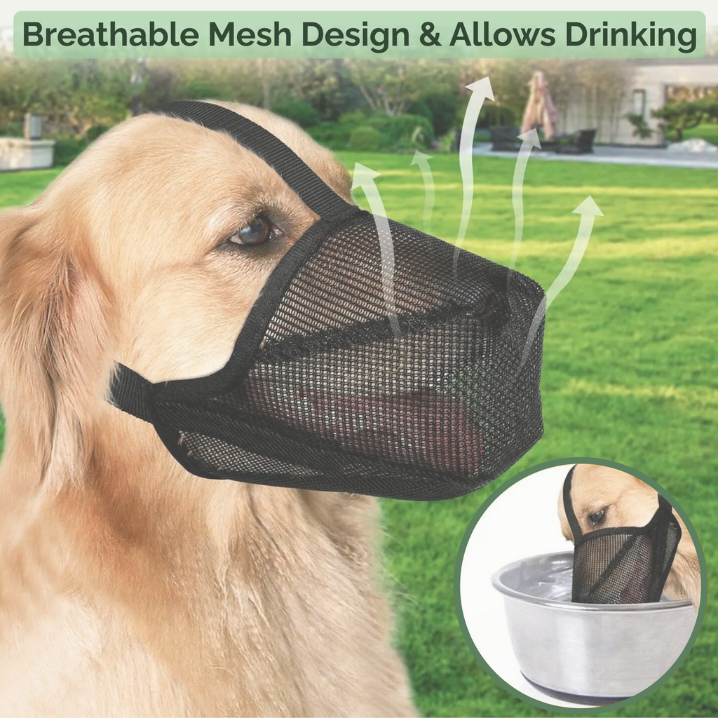 Muzzle pour Chien AirMesh Confortable - Protection Douce et Respirante