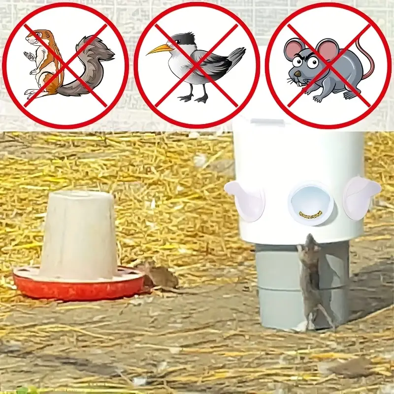 BirdEaseFlow™ — Éliminez le gaspillage de nourriture et profitez instantanément d'oiseaux plus propres et en meilleure santé