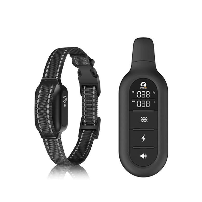 ProTrain – Collier de dressage pour chien rechargeable et étanche