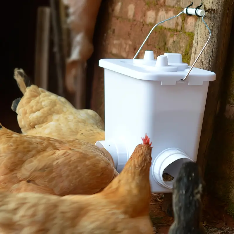 BirdEaseFlow™ — Éliminez le gaspillage de nourriture et profitez instantanément d'oiseaux plus propres et en meilleure santé