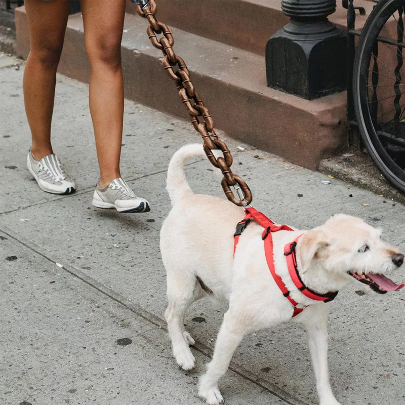 ChicPaw™ — Libérez le style, la liberté et la confiance à chaque promenade