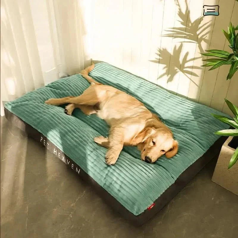 FlauschNest Lit pour Chien Orthopédique – Douillet & Soutenant pour des Nuits Reposantes
